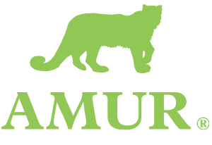 Amur Equipment Financing Logo